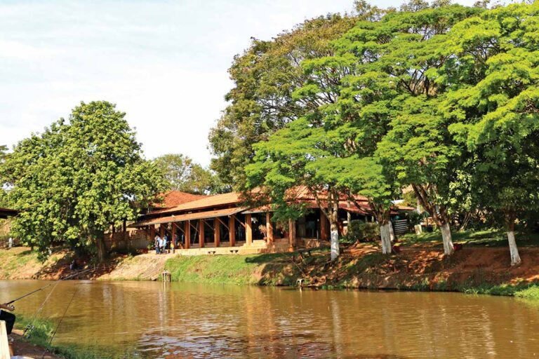 Pesqueiro Kobaiashi, grande variedade de peixes e comida de qualidade!