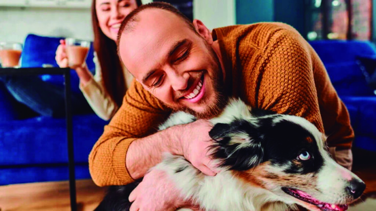capa Artigo Pets revista 7a edicao