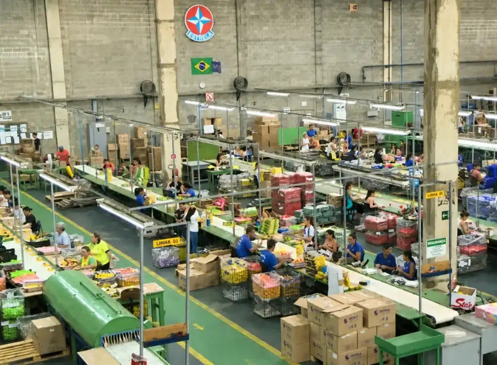 estrela entra com pedido de recuperação judicial 2026