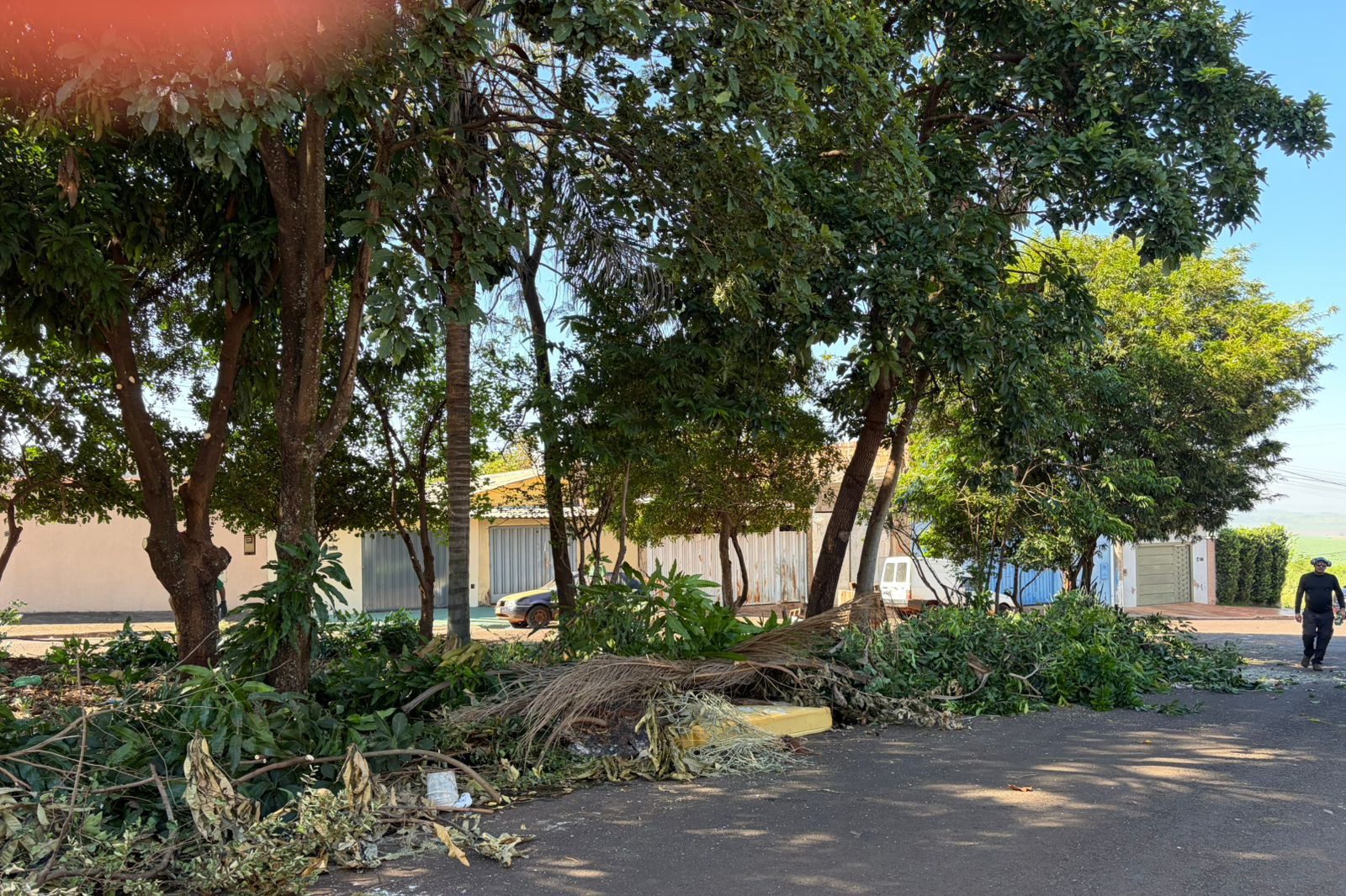 Mutirão de Limpeza - Jardim Botânico (6)