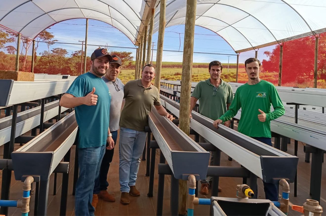 Morango e banana: Cravinhos avança com tecnologia, sustentabilidade e inovação do campo