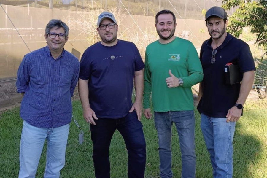 Foto: Divulgação