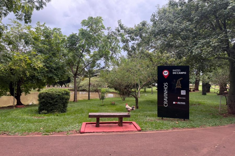 Foto: Divulgação