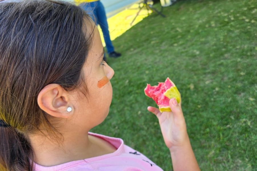 Foto: Lucimara Souza / Colaboração