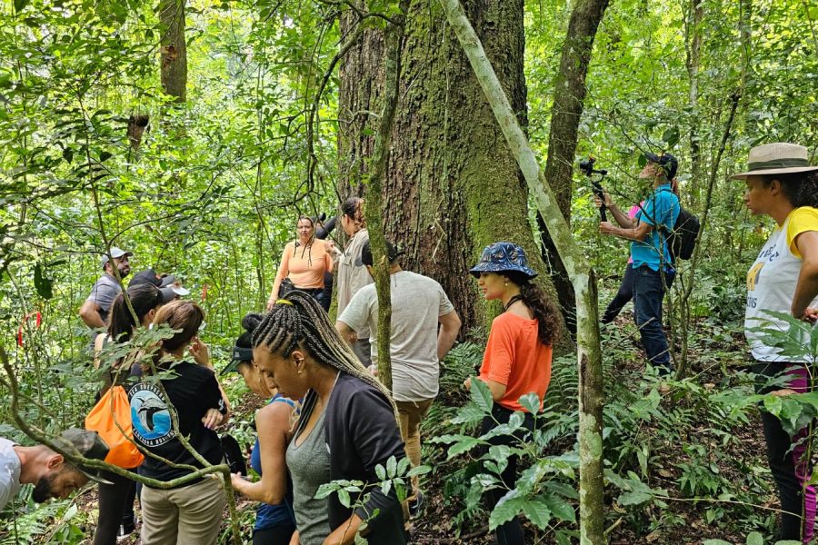 Propriedade rural fará dia de vivência dentro de floresta. (Divulgação)