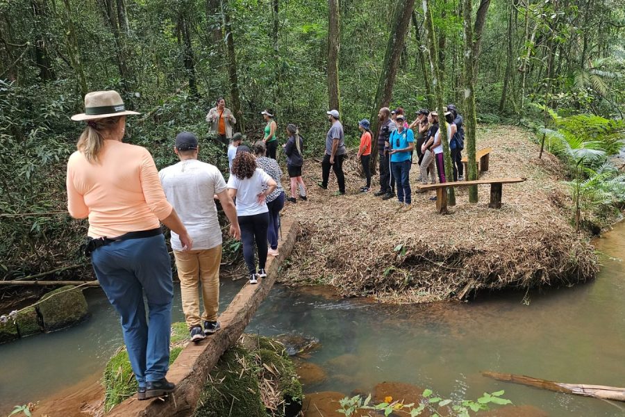 Propriedade rural fará dia de vivência dentro de floresta. (Divulgação)