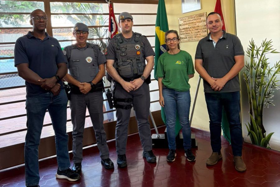 Foto: Divulgação